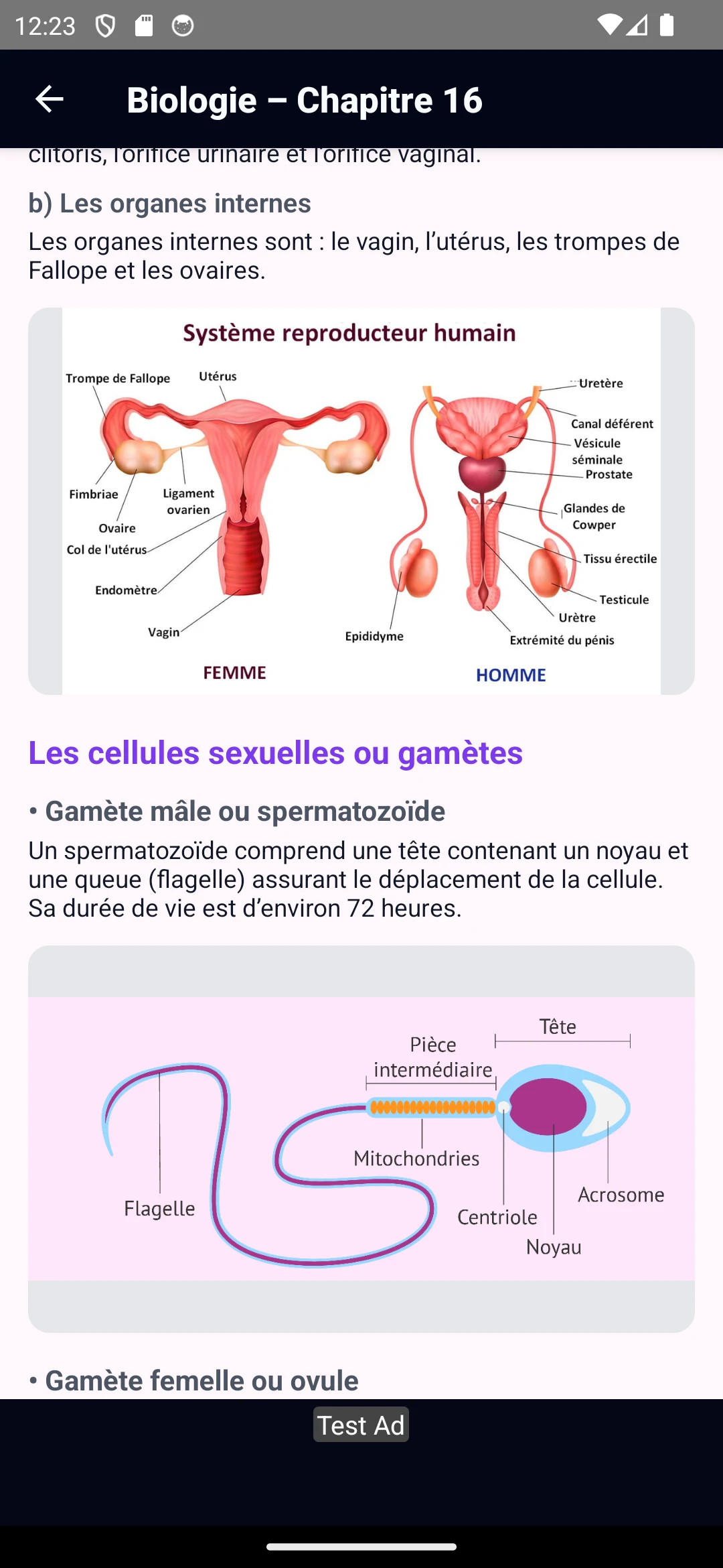 edumali screenshot